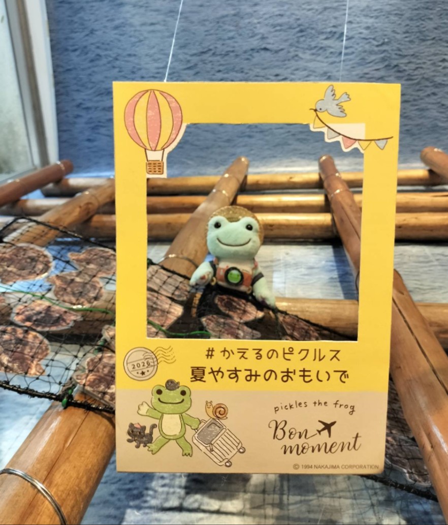 応募作品6