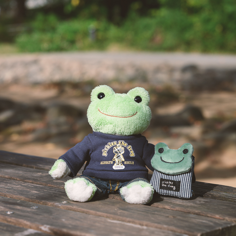 外でぬい撮りをするピクルス